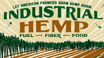Perfect Plant? 7 Great Uses For Industrial Hemp