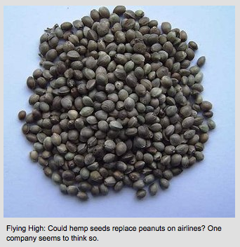 Flying High: Hemp Seeds To Replace Airline Peanuts?