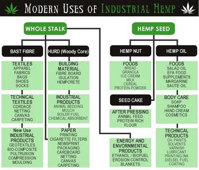 Hemp: The ‘Miracle Plant’ that can Save the Planet