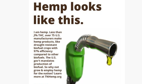Hemp Produces Viable Biodiesel, Study Finds