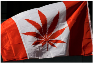 Canada: What if Medical Marijuana Becomes Easier to Get?