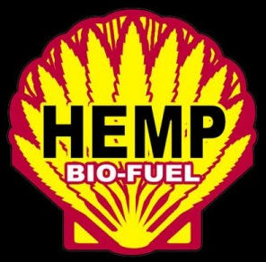 Hemp – The Biofuel to Replace Petroleum