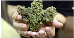 Federal Government Rules Marijuana Has No Accepted Medical Purpose