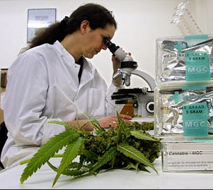Research on medical marijuana is scant due to legal, financial hurdles