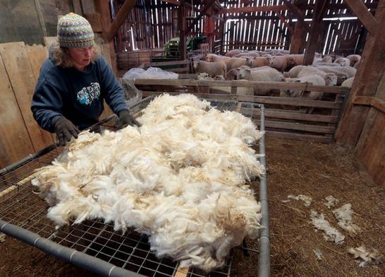 The Kentucky Cloth Project – a New Hemp-Wool-Alpaca Textile