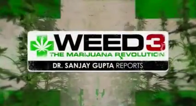 A Medical Marijuana Revolution: Weed 3 – The Documentary