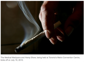 Big Toke in the Big Smoke: Hemp Expo Blows into Toronto