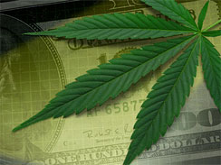 California High Stakes: A Call to Legalize Marijuana