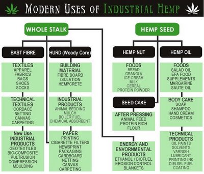 The Amazing Benefits of Industrial Hemp