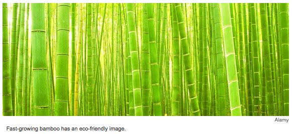 Bamboo's Image Not So Eco-Friendly in Reality