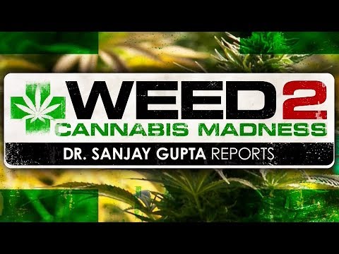 WEED 2 – Cannabis Madness – Dr. Sanjay Gupta Reports (2014 CNN Documentary)